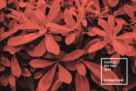 Color of the year 2019 Living Coral. Floral natural pattern of foliage.の写真素材