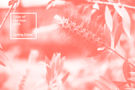 Color of the year 2019 Living Coral. Floral natural pattern of flowers, branches.