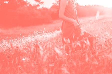 Unrecognizable girl in long dress in field at sunset.の写真素材
