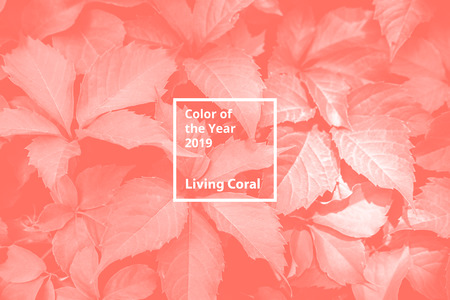Color of the year 2019 Living Coral. Floral natural pattern of foliage.