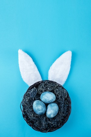 Easter nest with blue eggs on a colorの写真素材