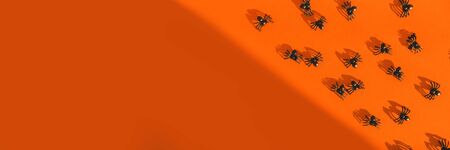 Halloween festive greeting card with spiders and shadow on a bright orange background. Postcard and scenery for All Saints Day. Top view. Flatlay. Copy space.の写真素材
