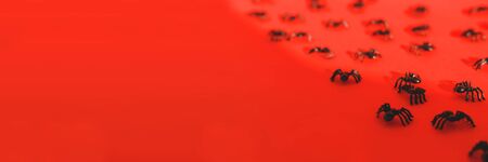 Halloween festive greeting card with spiders and shadow on a bright red background. Postcard and...