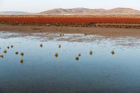 Blue lake in the middle of field and red grass around it. In background is mountain. Natural landscape.の写真素材