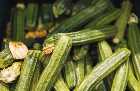 Banner of fresh zucchini with flowers on the counter in a supermarketの写真素材