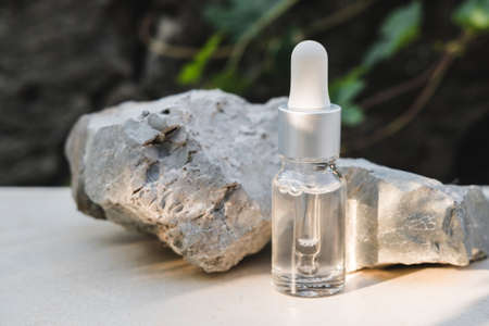 Bottles of transparent serum next to natural stones against a gray wall with grape leaves with natural light. Trendy style. Grape extract. Cosmetic mockup. Copyspace.の写真素材