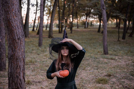 Young cute beautiful woman in dark dress and witchs hat holds an orange pumpkin in her hands....