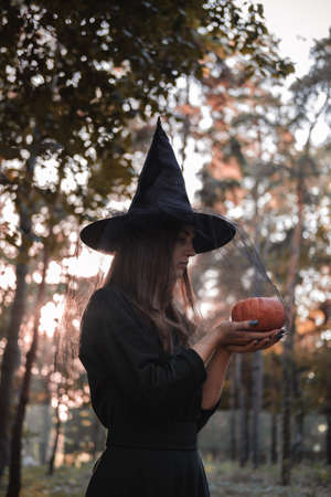 Young cute beautiful woman in dark dress and witchs hat holds an orange pumpkin in her hands. Halloween party costume. Forest, park with autumn trees.の写真素材