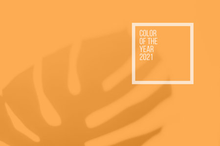 Abstract orange clean background with shadow from palm or monstera leaves. Marigold color shadow photo overlay. Tropical tree leaves. Blurred texture with copy space and mockup.の写真素材