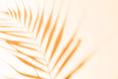Abstract orange clean background with shadow from palm leaves. Marigold color shadow photo overlay....