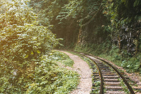Empty railroad rails going into the distance in the forest among the rocks.の写真素材