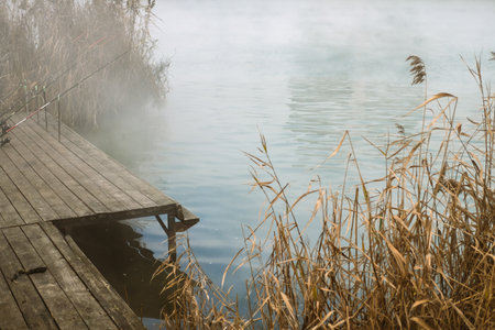 A pier on the shore of the lake with fishing rods and dry reeds in autumn foggy weather.の写真素材