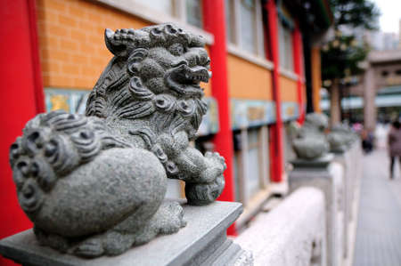 Lion ,Chinaの写真素材