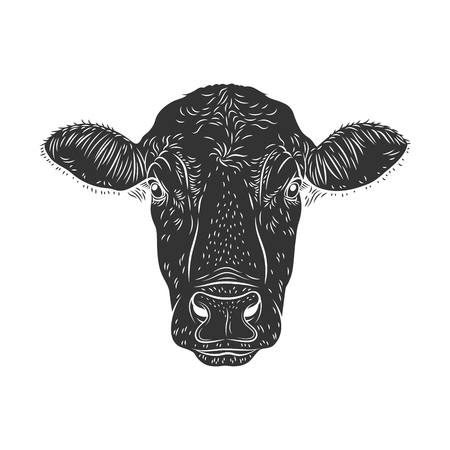 Stencil vector cow's head isolated on white background. Black and white sign, emblem, symbol. Stamp. Simple illustration. Sketchのイラスト素材
