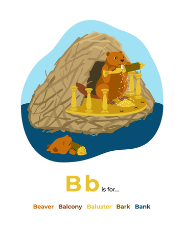 Illustration of letter B for alphabetのイラスト素材