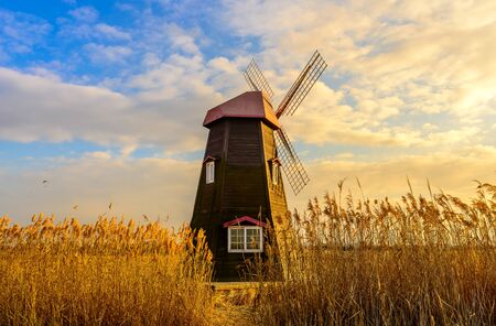 Beautiful landscape in South Korea,Sorae ecology wetland parkの写真素材