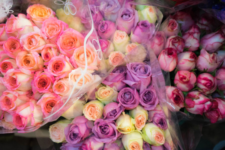 colorful rose bouquetの写真素材