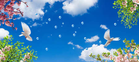 doves, flying bubbles and spring flowers in the blue skyの写真素材