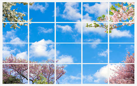 view through a beautiful sky and window to the blooming trees