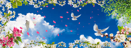 leaves flying from spring branches and dovesの写真素材