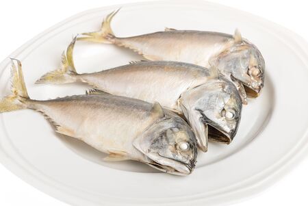 Thai Mackerel on white background