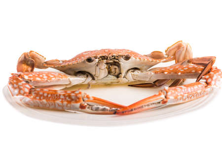 hot steamed crab asia cuisine