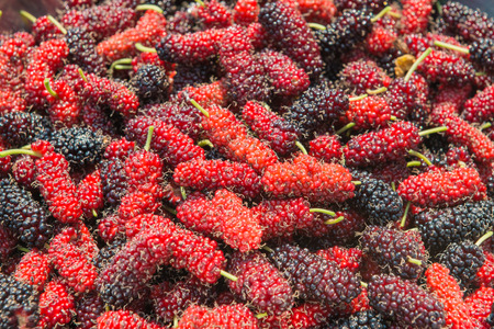 pile of red mulberry fruit backgroundの写真素材