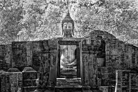 Black & White, Thailand taken in Near Infraredの写真素材