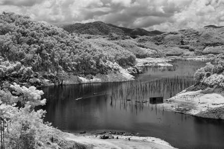 Black & White Infrared landscape. Lake and trees Thailand taken in Near Infraredの写真素材