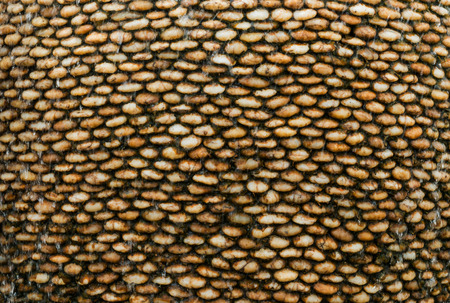 close up surface stone and water