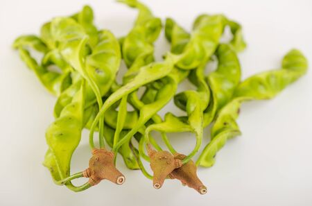 sato southern Thailand vegetable on white backgroundの写真素材