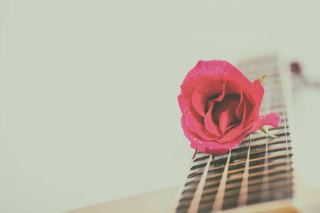 Acoustic guitar and pink rose on white background
