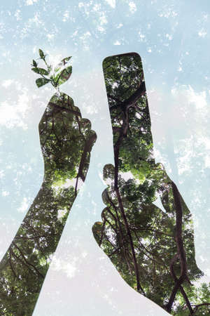 Abstract of hand holding the old mobile and holding seed on tree backgroundの写真素材