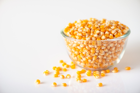 Seed corn varieties mushroom on white backgroundの写真素材