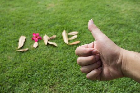 Hand thumb up on green grass backgroundの写真素材