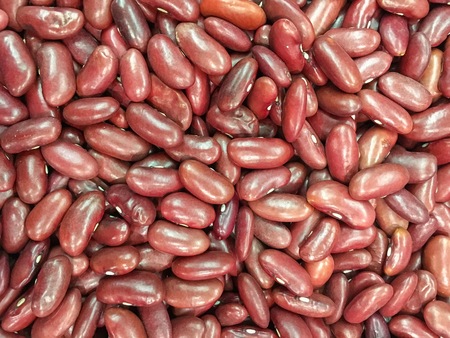 Adzuki bean backgroundの写真素材