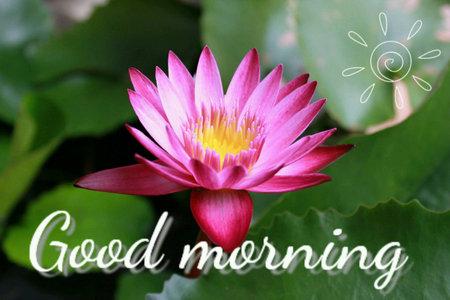 Good Morningの写真 イラスト素材一覧 108 969件 ストックフォトのamanaimages Plus