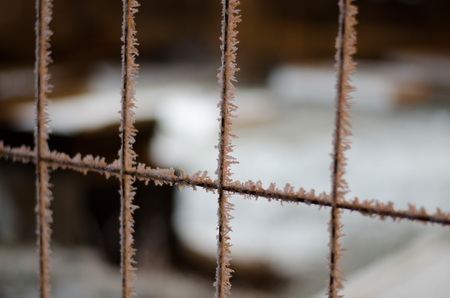 Frosty fence in the cold nightの写真素材