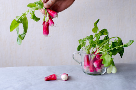 A group of radishes with white tips on a table