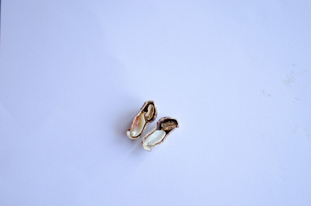 Peanuts on display on white background. One of them cracked with one bad and one good peanut.の写真素材