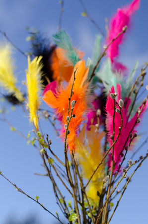 Traditional easter decoration made with twigs with colorful feathers on them with blue sky as backgroundの写真素材