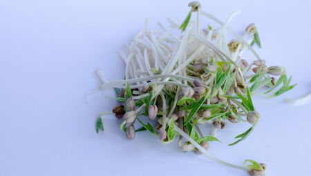 Mungbean sprouts on white backgroundの写真素材