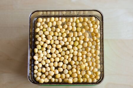 Chickpea sprouting in the making. Unfocused background. Day 1の写真素材
