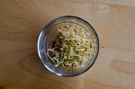Buckwheat sprouts in a glass on a wooden table. Focused backgroundの写真素材
