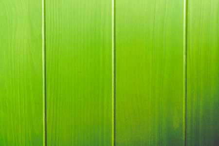 Abstract Green Wood Background With Old Wooden Line Stripesの写真素材