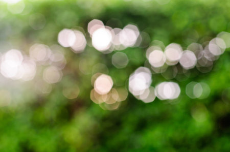 Abstract Bokeh Background With Green Color From Natureの写真素材