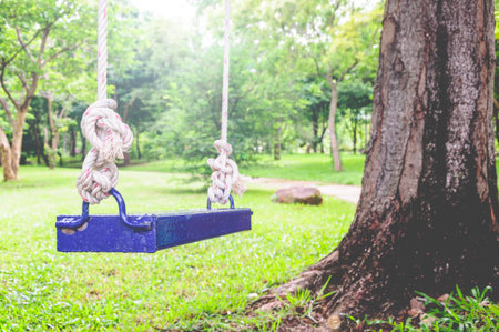 Blue Swing Hanging Under The Tree In The Public Park
