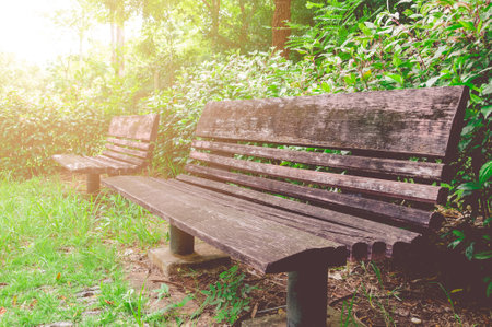 Wooden Bench Along The Walking Path In Public Park
