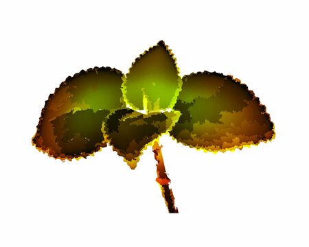 Green leaf illustration on a white background for wallpaper or texture.の写真素材