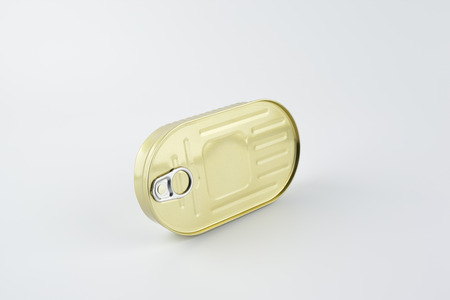 Tin Can of Sardines or Anchovies.